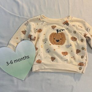 Rabbit + Bear - Organic Cotton Pumpkin Print Baby Sweater